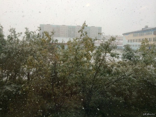 � � ��� ���� �����...