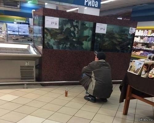 � - ����������