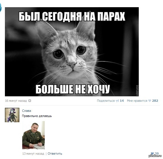 С просторов ВК.