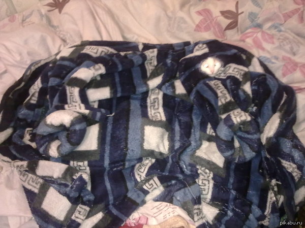 Маскировка 99 лвл