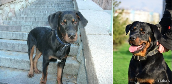 � ������� ����� �� 7 �������.