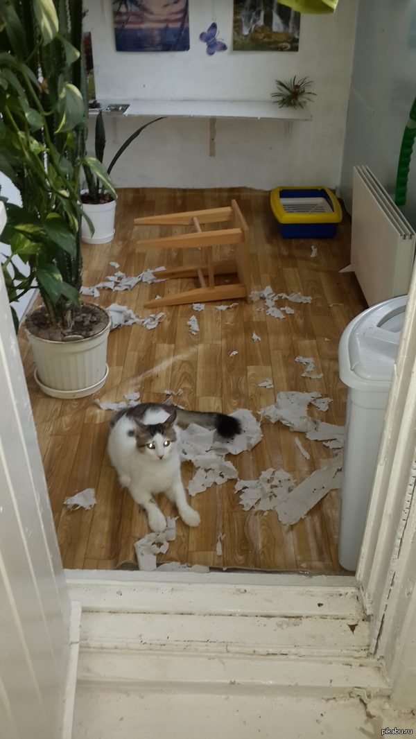 Вернулись домой..