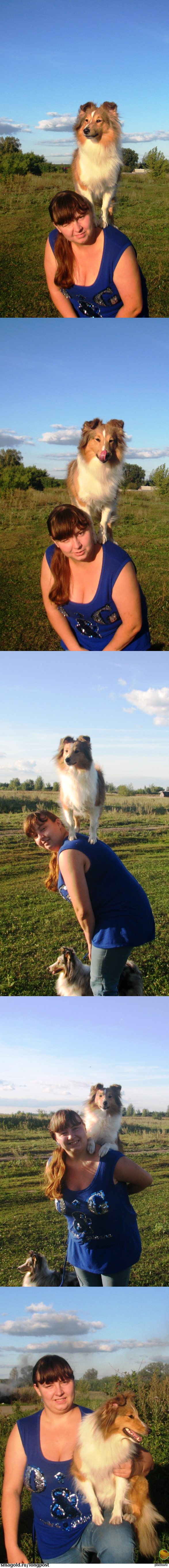 ���� ������ ������