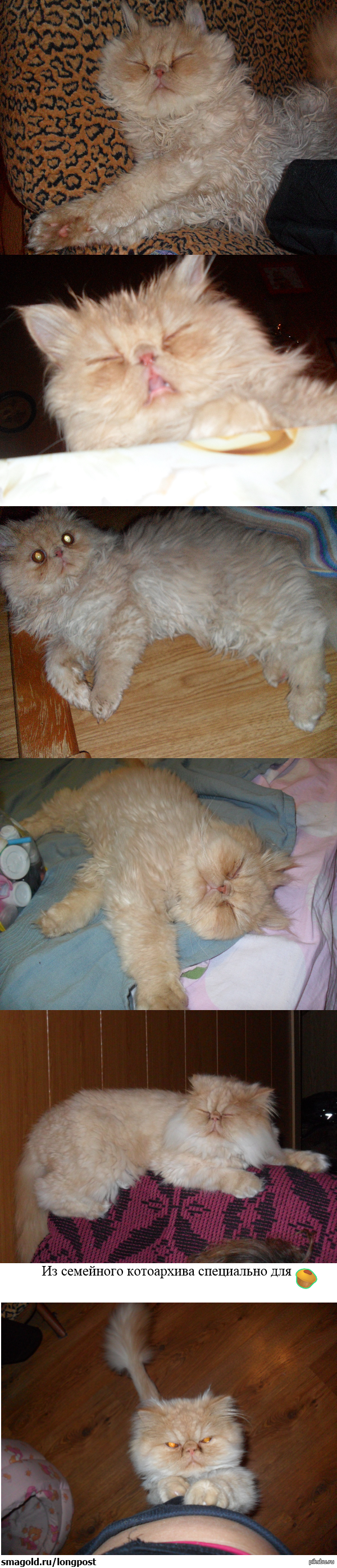 Фотогеничная нефотогеничность  :)