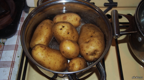 В поддержку пятничного МОЁ)))))))))))))))))))))))))))))))))