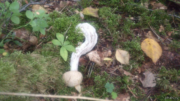 � ��� ���� ������� ���-�� ����� ��������...  ���� � ������� �������,������!