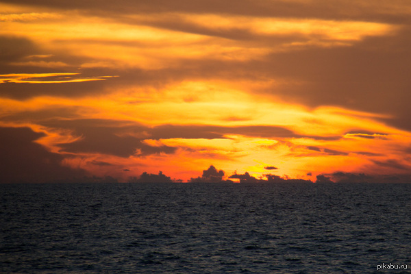 ����� �� ����