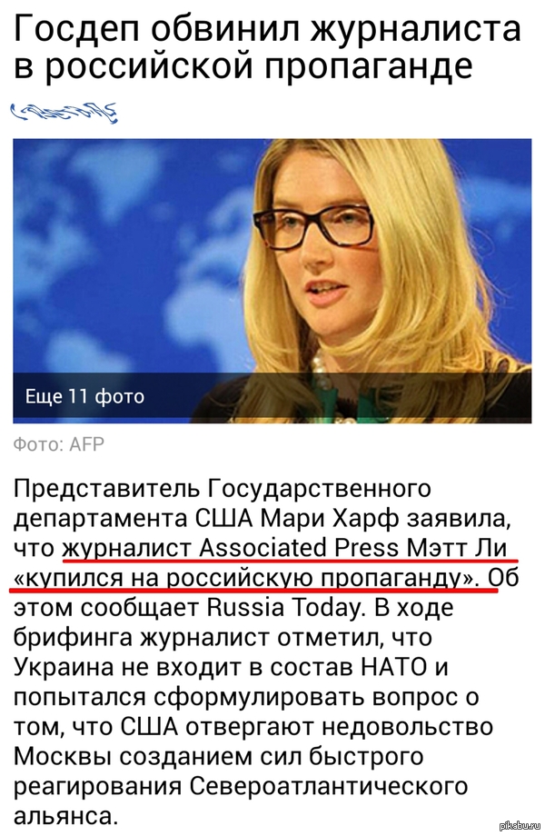 Вот и наш герой попал под руку американской "демократии" и "свободы слова".