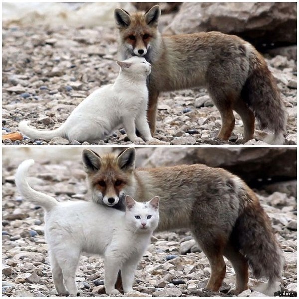 ������� � ������ ������