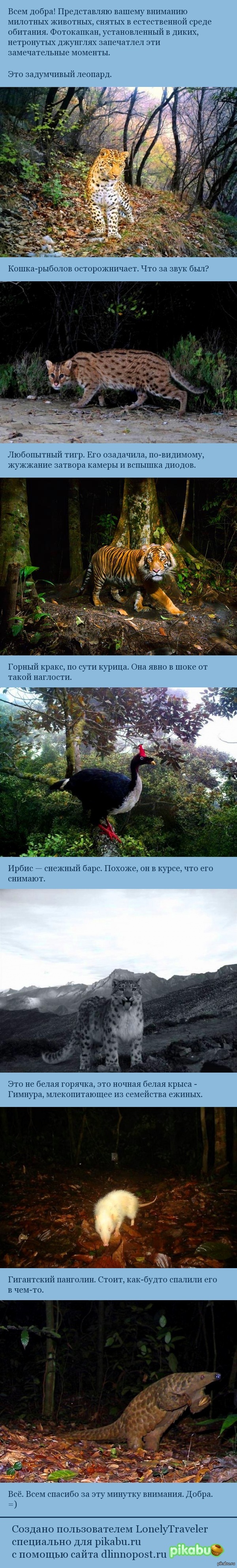 �������� � �� ������� �� ��������� � ������.