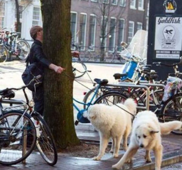 ������� ��������