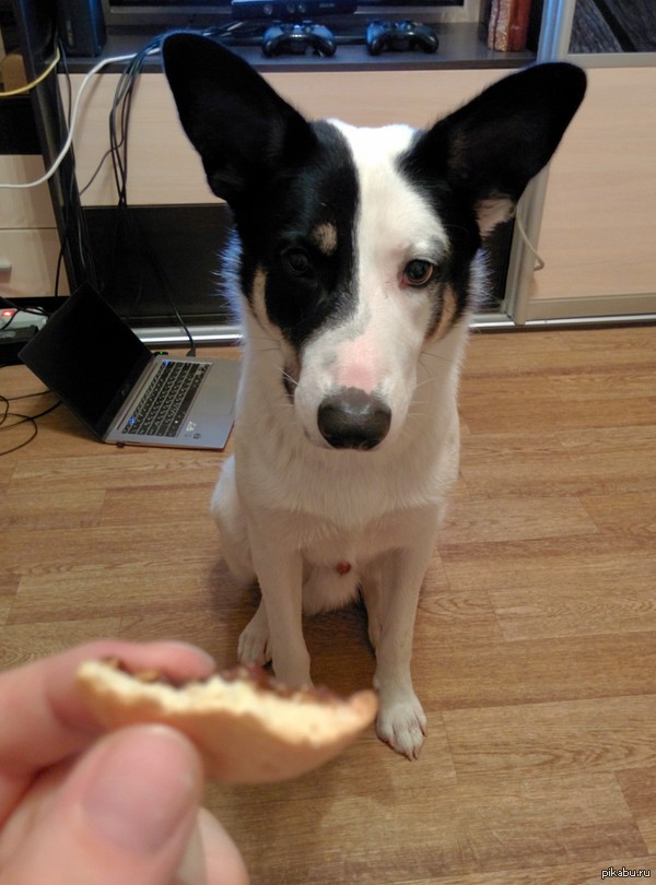 ����� ���������� ��� �� �����