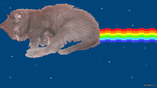 Nyan cat        