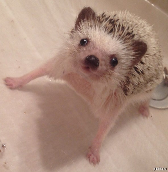 ����, ����� ������������� ���������� :D ��� �� �� �� ��� )