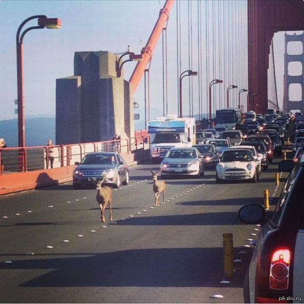 Каждый день с этим сталкиваюсь