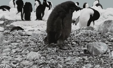 ! 