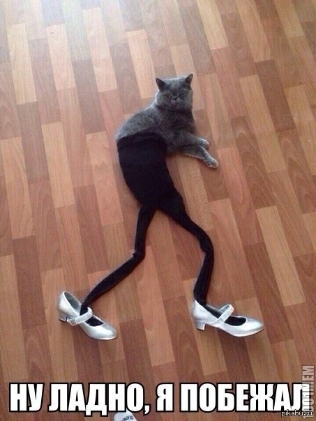  ) 