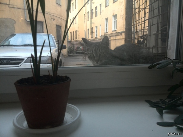 ��� ��� � �����, �������� �� ���� ������...