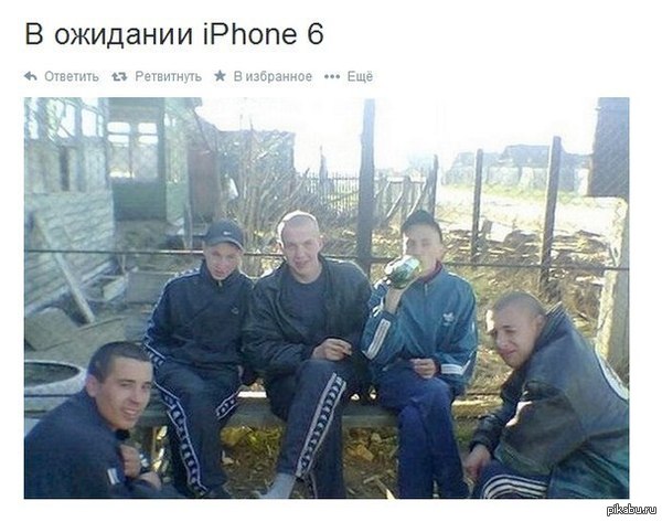   iphone 6  ():