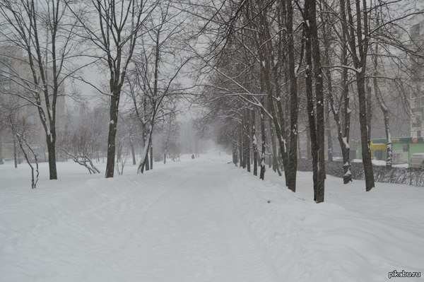 Уже скоро. Осталось совсем мало теплых дней