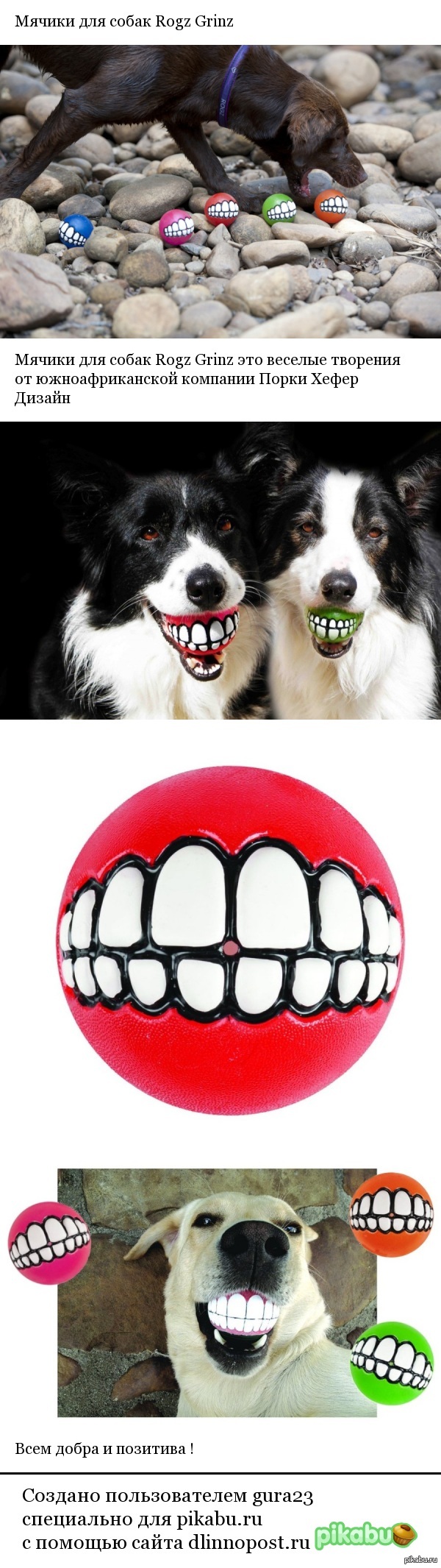 ������ ��� ����� Rogz Grinz