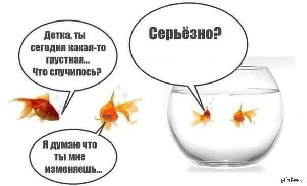 ���� �������?