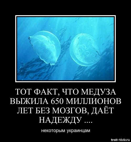 650 миллионов. Тот факт что медуза выжила 650 миллионов лет без мозгов. Тот факт что медуза выжила. Медузы выжили без мозгов. Медуза выжила 650.