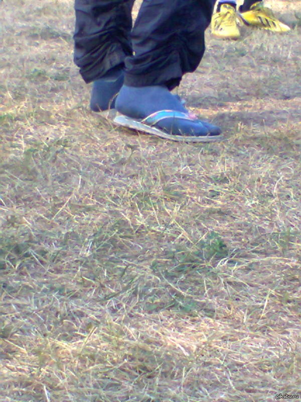 Сезон открыт.