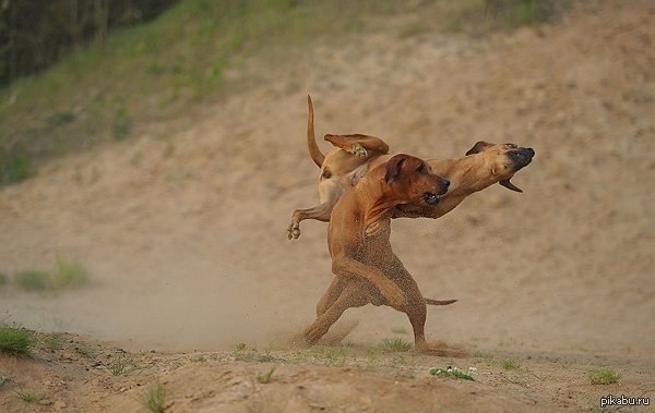 ���-������!