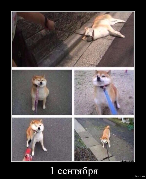 В честь первого сентября