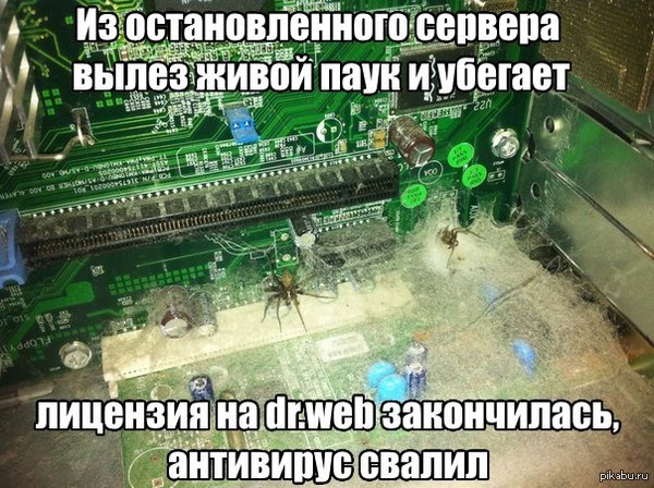 Dr. Web