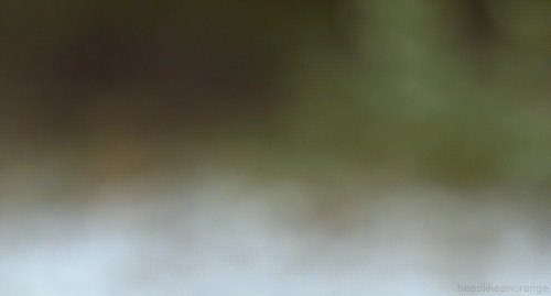  ,      ,      