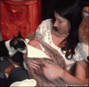   :)
