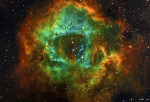 ���� ��� - 13 ��������