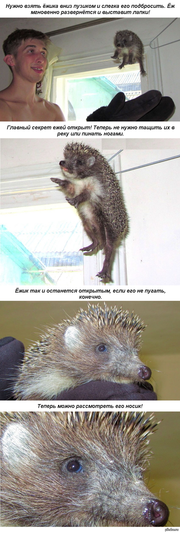 ��� ���������� ���