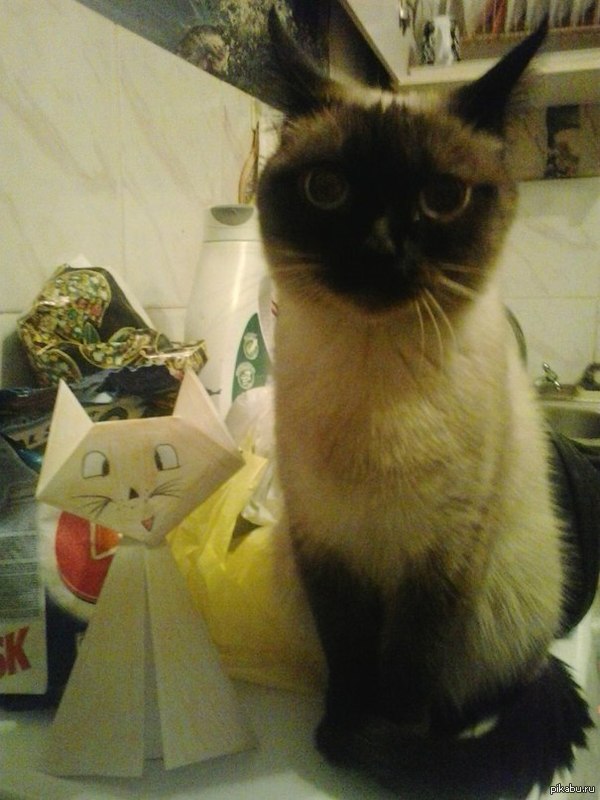 �������� 100%)))