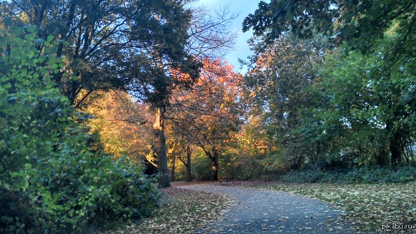 ������ �������� ������� � �����