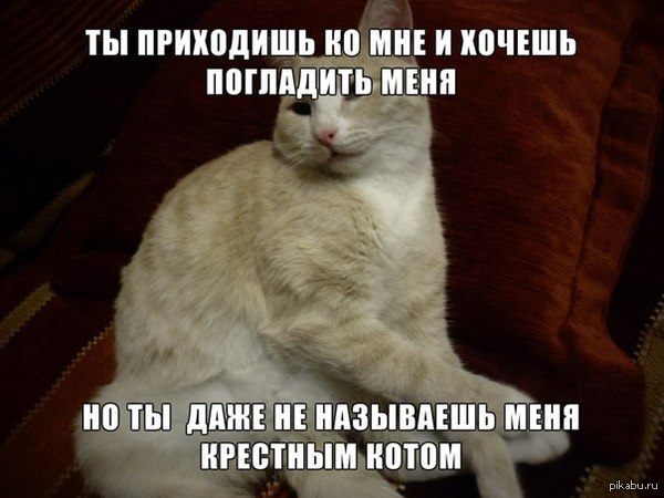 ����-�� �� ��� ����������...