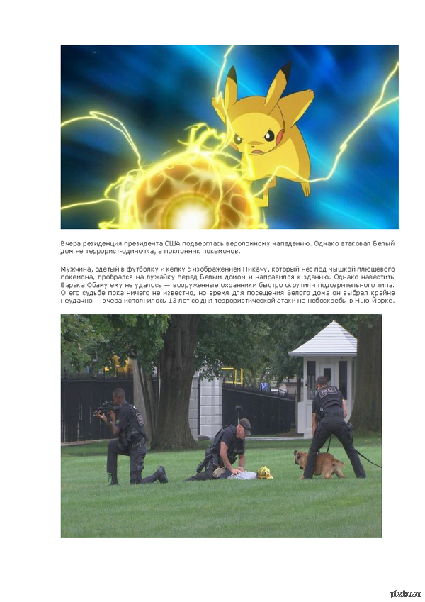 Фанат покемонов пытался прорваться в Белый дом