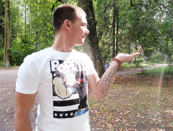 ������ �� ������)