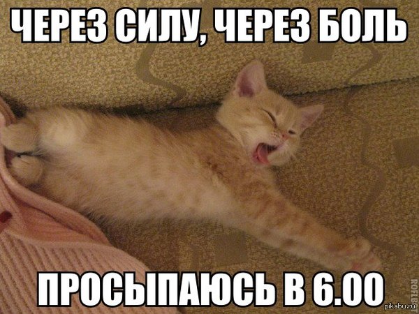 Недоброе утро.