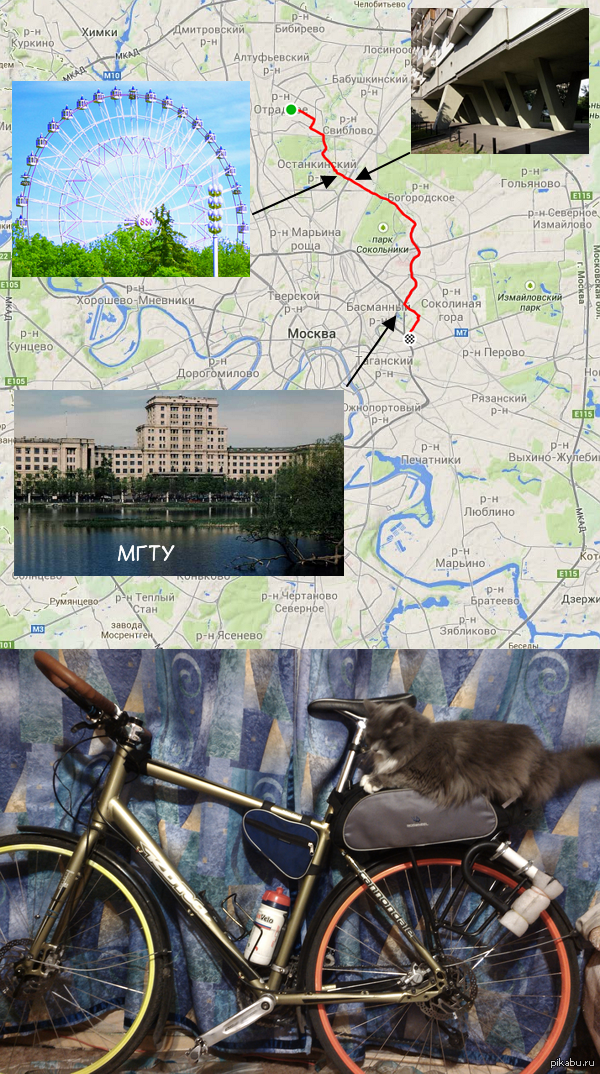 ��� ���������� �� ������