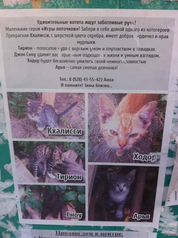 И вновь находчивый Краснодар...