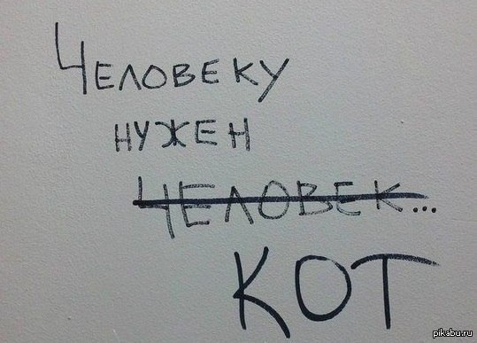 Нужен кошах, срочно!!!