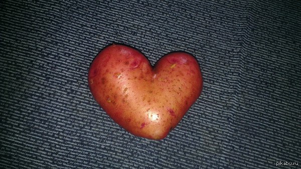 �������� ����� ����^____^