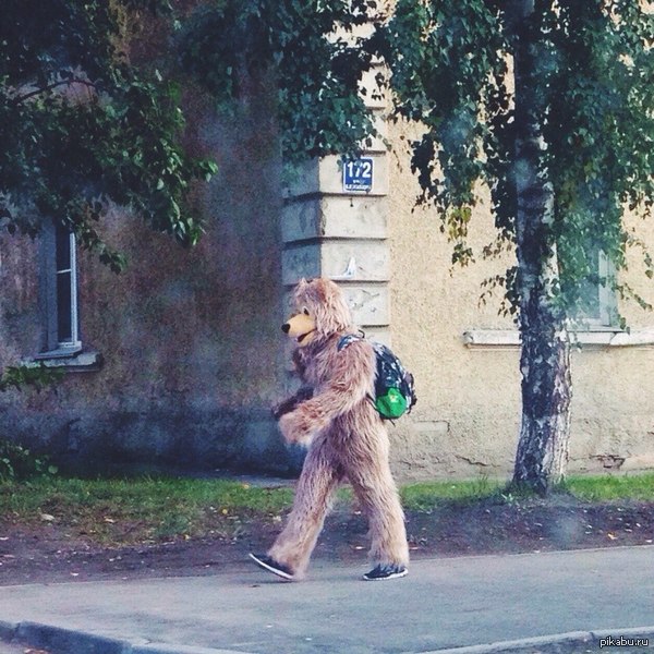 �� ������������ ����� �������.