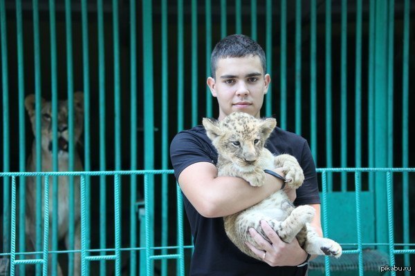 А у меня фото с тигренком