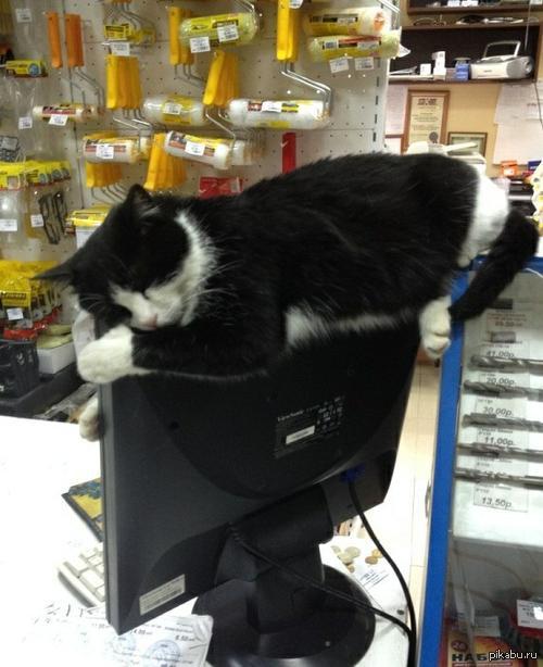 ������ ���� ����� :(