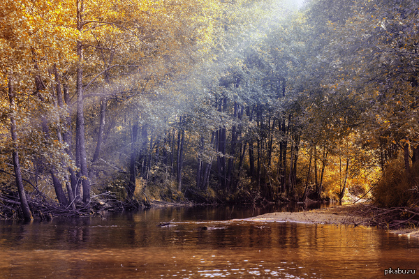 Autumn is coming)     ""