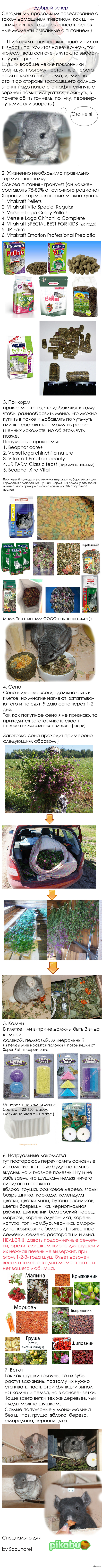 ������� ����� )